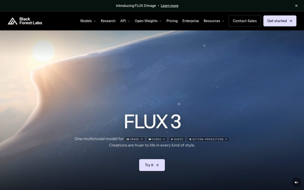 Black Forest Labs: strona startowa narzędzia (zrzut ekranu)